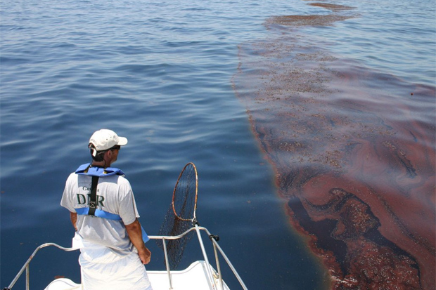 May 2010 – Updates on BP spill in Gulf of Mexico: Cleanup approaches