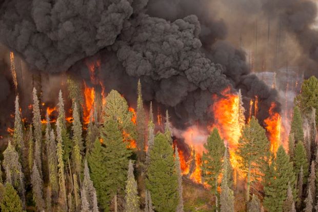 Los incendios forestales aumentan los niveles de contaminación del aire en el noroeste de EE. UU.