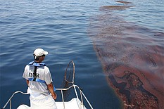 May 2010 – Updates on BP spill in Gulf of Mexico: Cleanup approaches