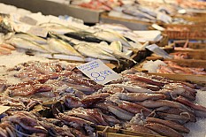 Breaking News – Danger for Humans from Polluted Seafood