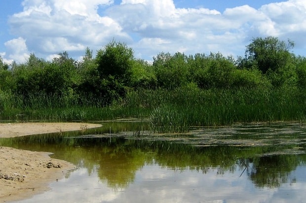 The Hidden Dangers in Lake Winnipeg