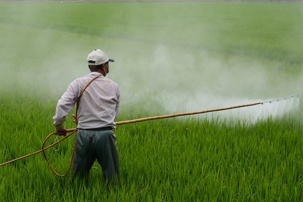 Pesticides and Fertilizers Used in Farming Pollute Waterways and Cause Breathing Problems in Farmer's Children 