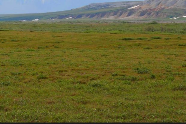 New Research on Nitrous Oxide (N2O) Emissions in Arctic Tundra Could Help Prevent Global Warming